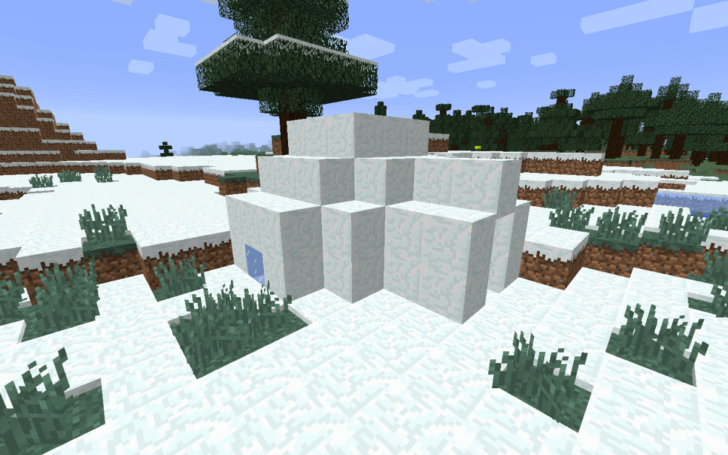 1179340544585804558 Winter Biome Next to a Village Screenshot 3