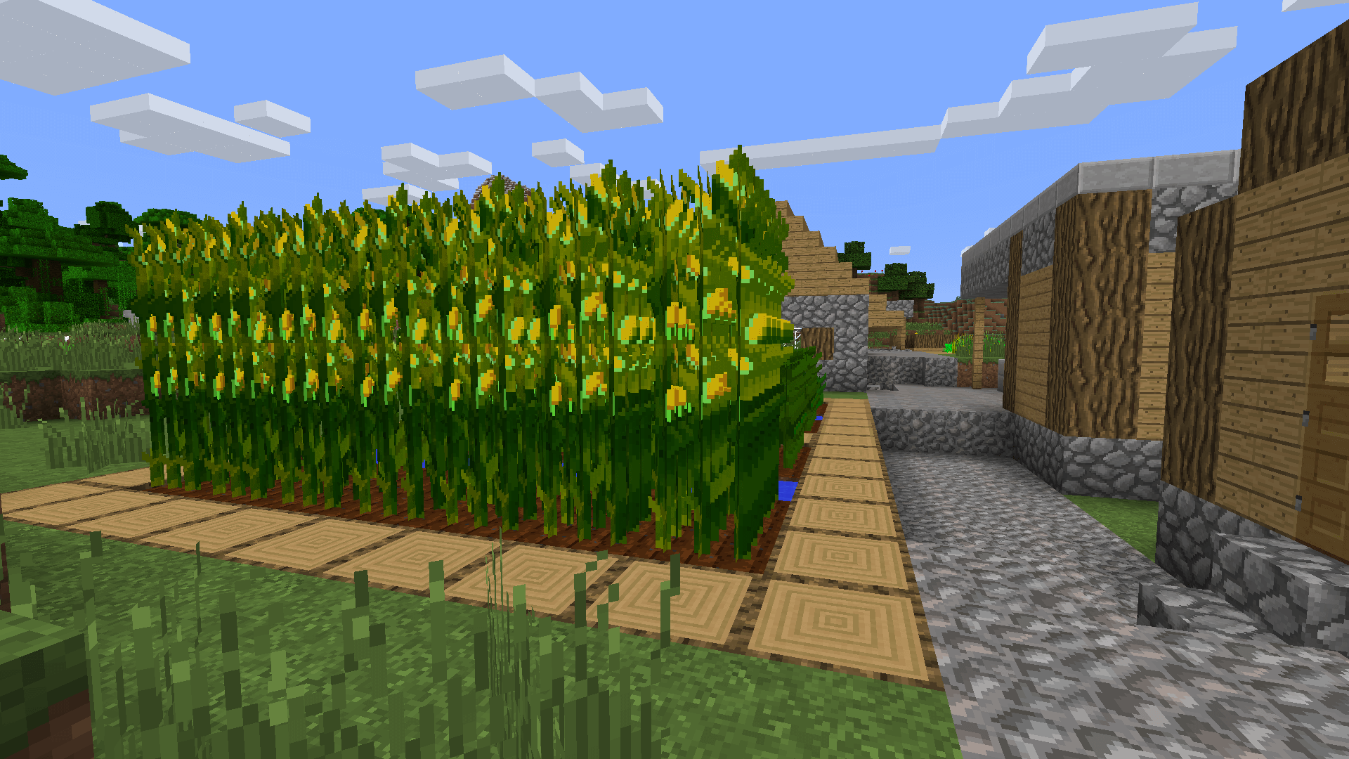 Simple Corn скриншот 2