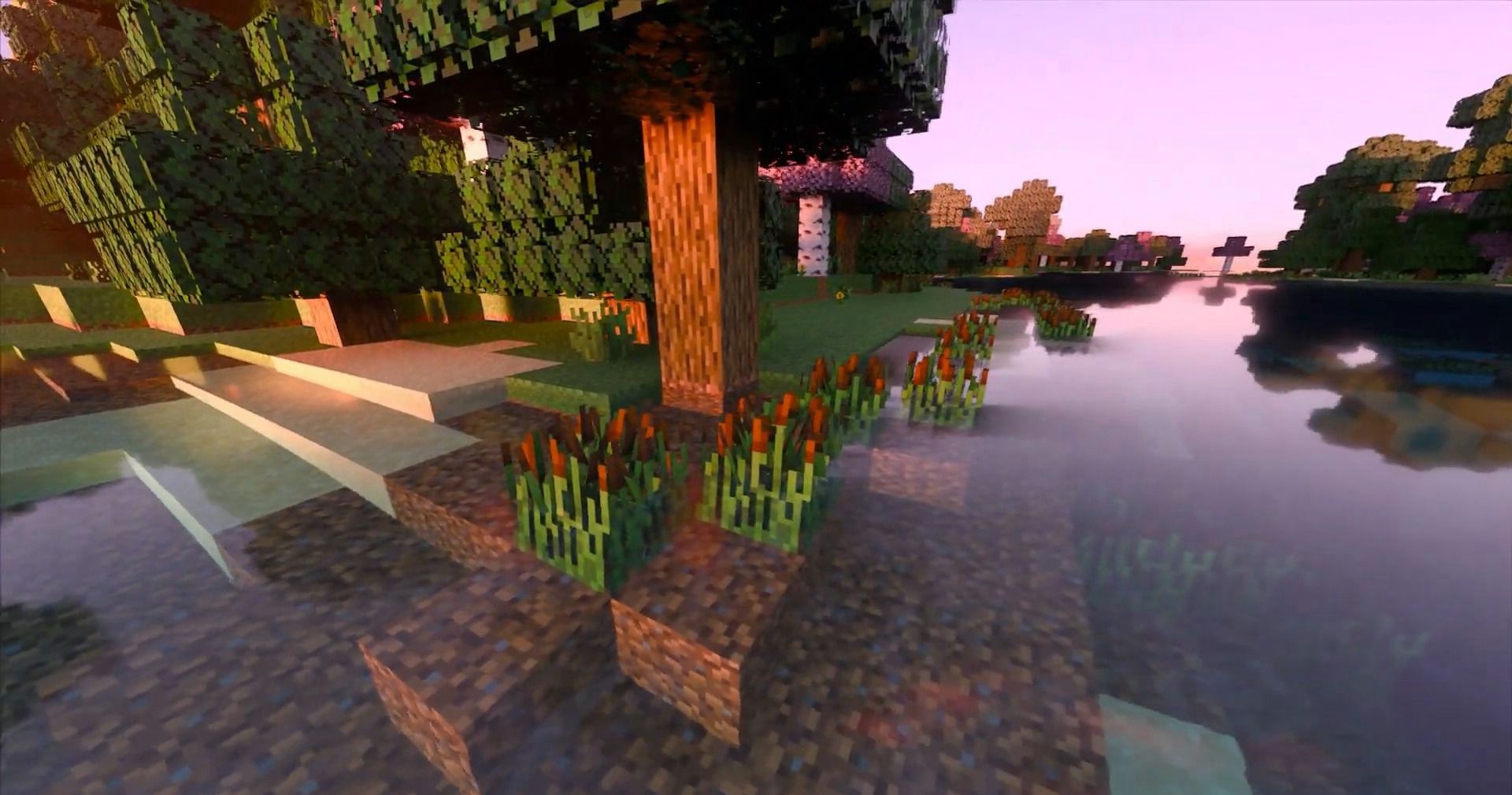 Minecraft Shader Mods for 1.20 APK for Android Download