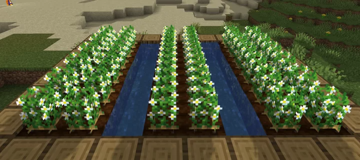 Potato Flowers screenshot 2