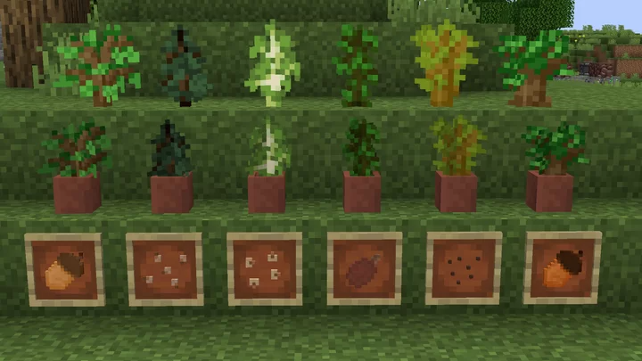 Tree Seeds screenshot 2
