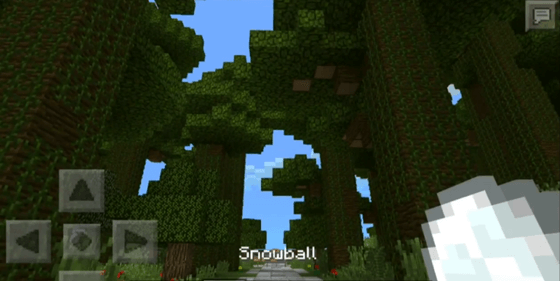 Snowball Pearl Addon скриншот 3
