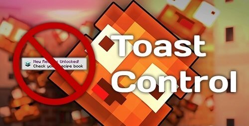 Toast Control скриншот 1