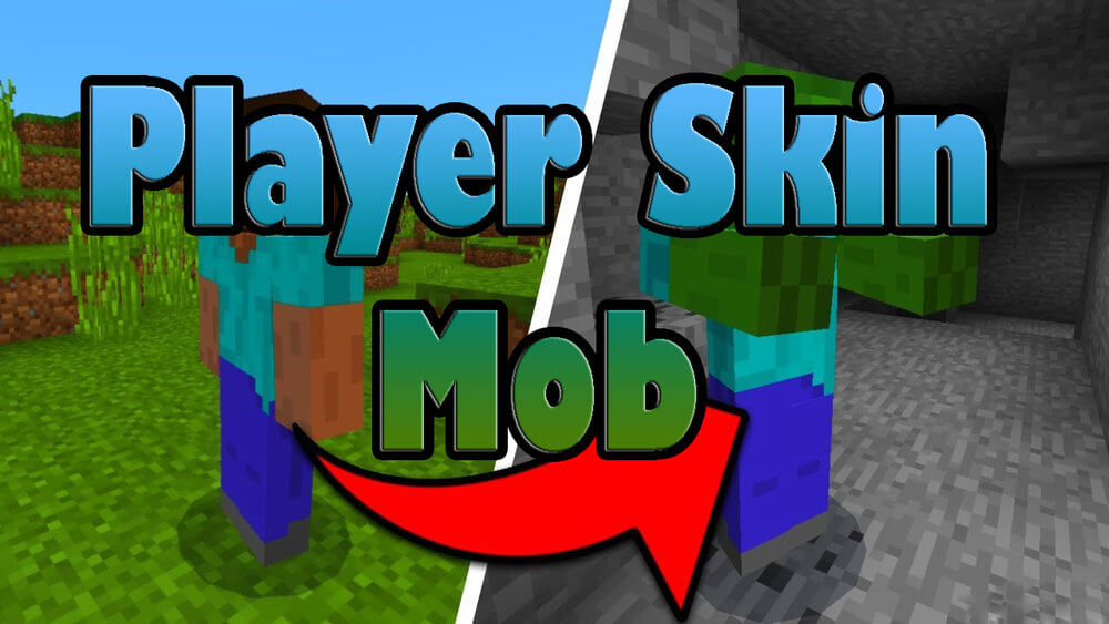 Player Skin Mob скриншот 1