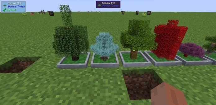 Bonsai Trees скриншот 3