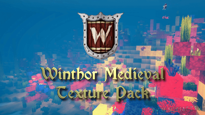 Winthor Medieval скриншот 1