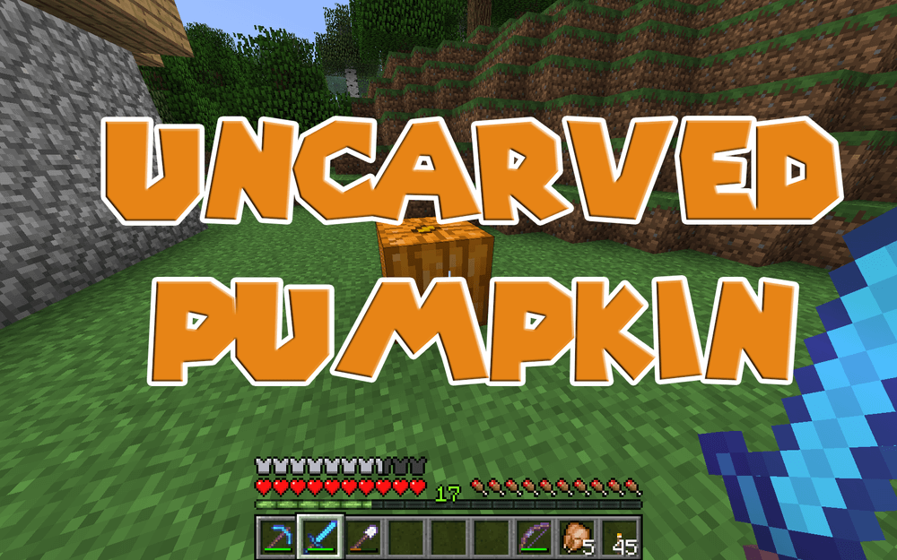 Uncarved Pumpkin screenshot 1