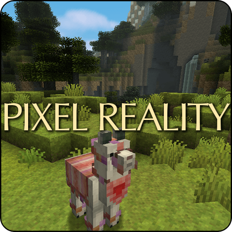Pixel Reality JE screenshot 1