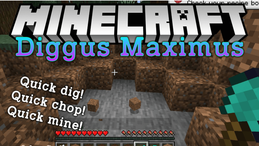 Diggus Maximus screenshot 1