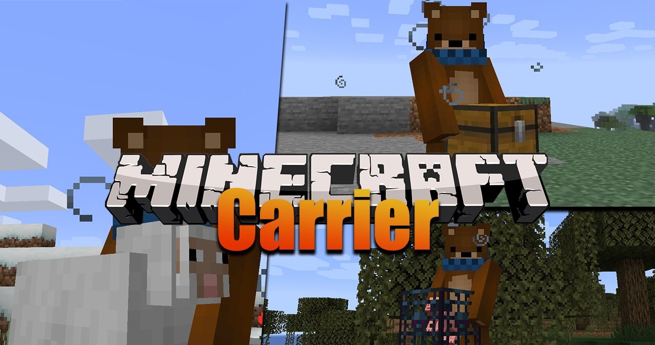 Carrier screenshot 1