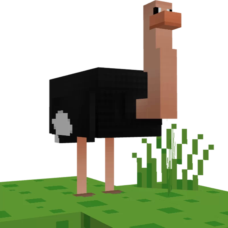 YDM's Ostrich screenshot 1