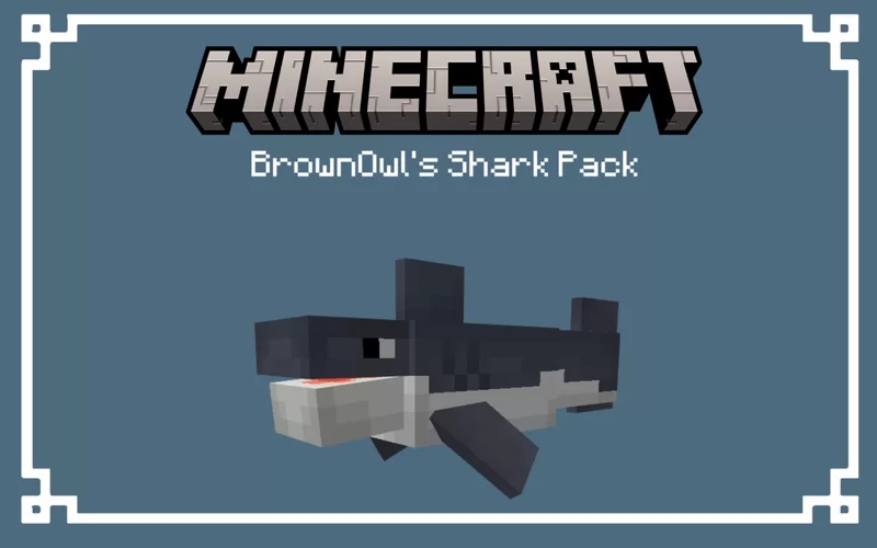 BrownOwl's Shark screenshot 1