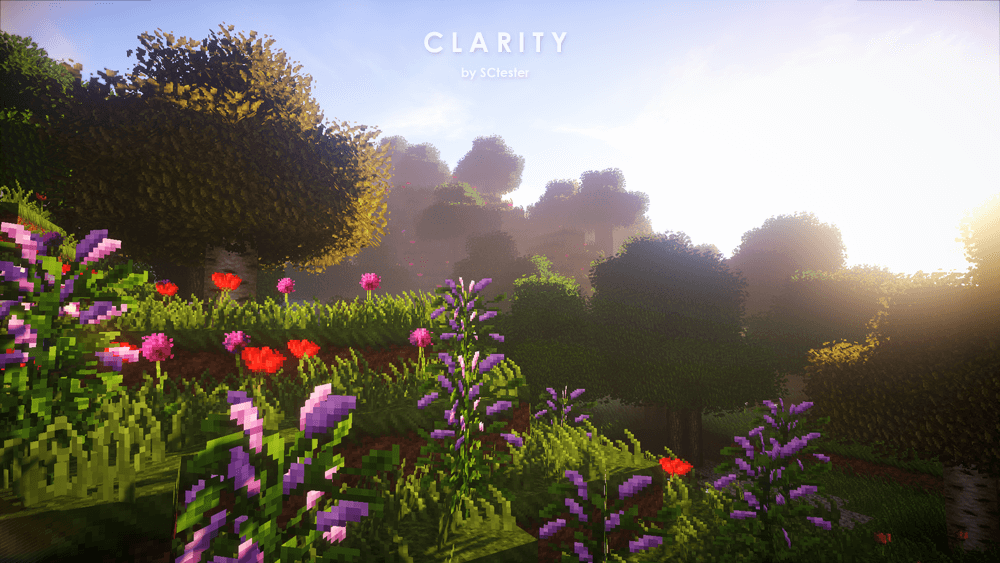 Clarity screenshot 2