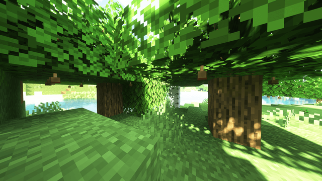 Acorn Leaves screenshot 1