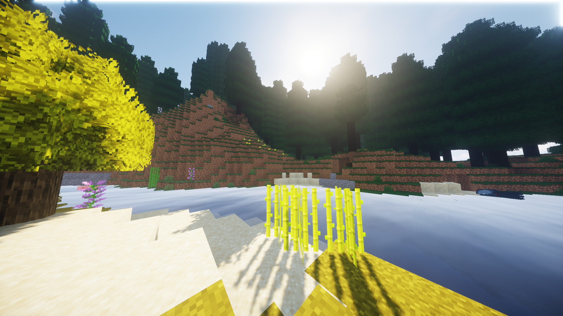 Round Trees screenshot 3
