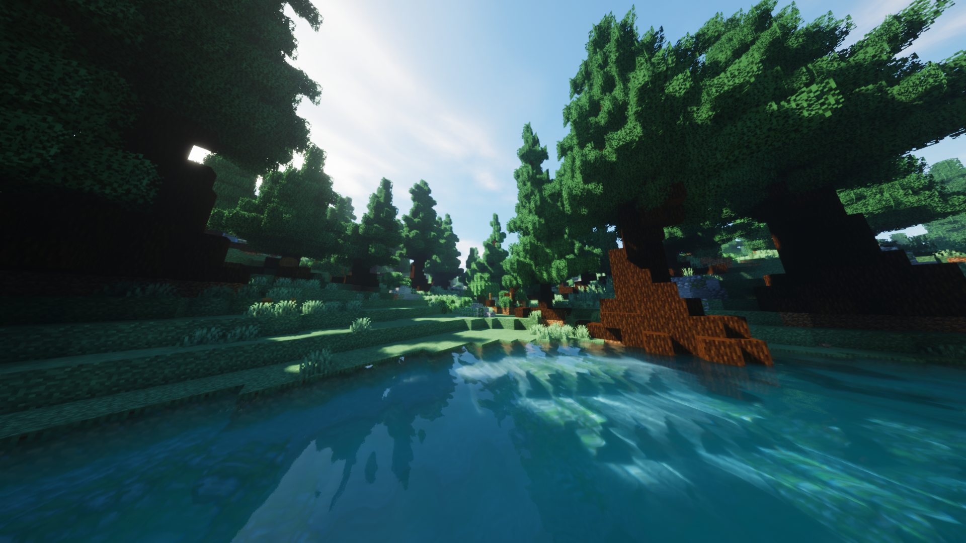 Round Trees screenshot 2