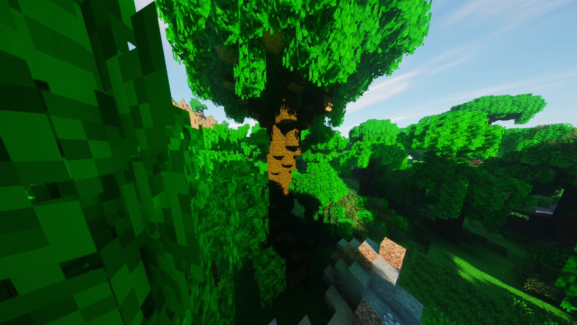 Round Trees screenshot 2