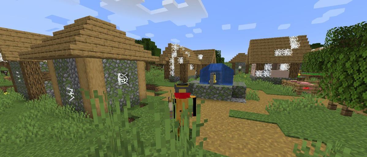 Village Spawn Point  screenshot 2