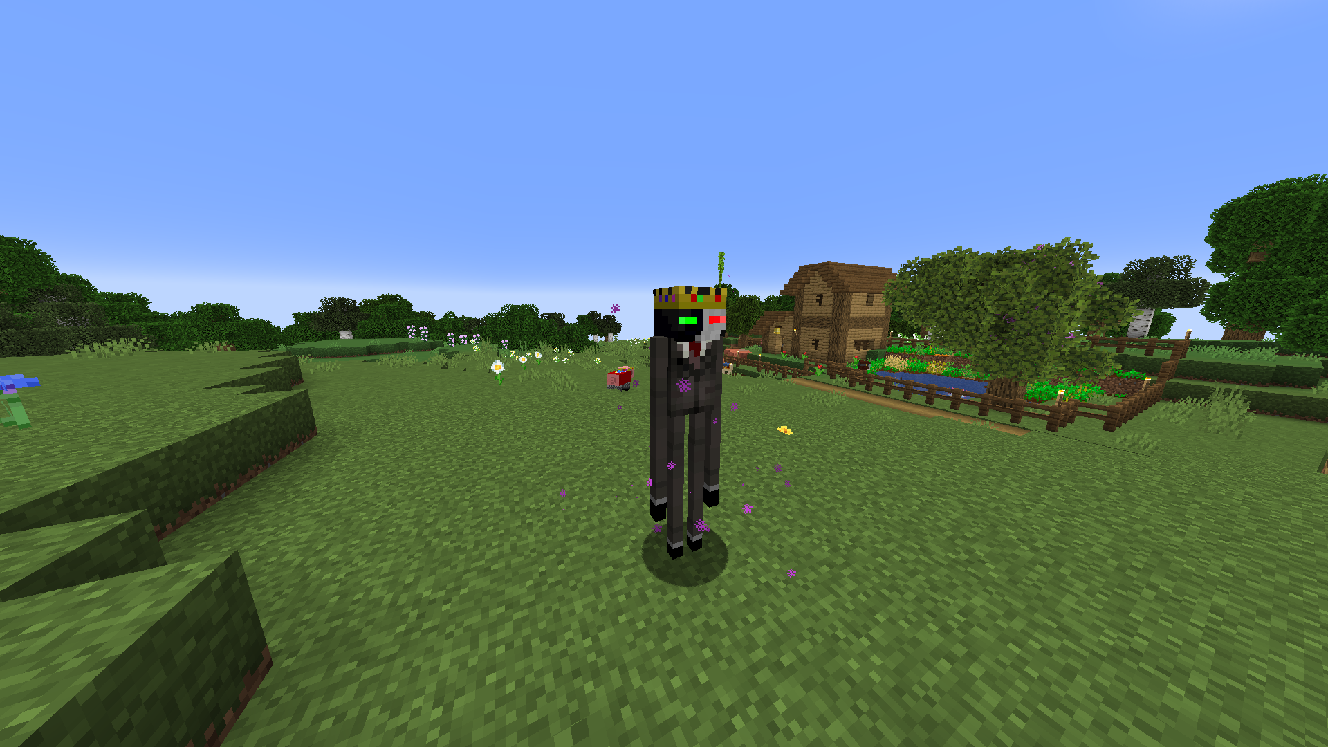 Dream SMP screenshot 1