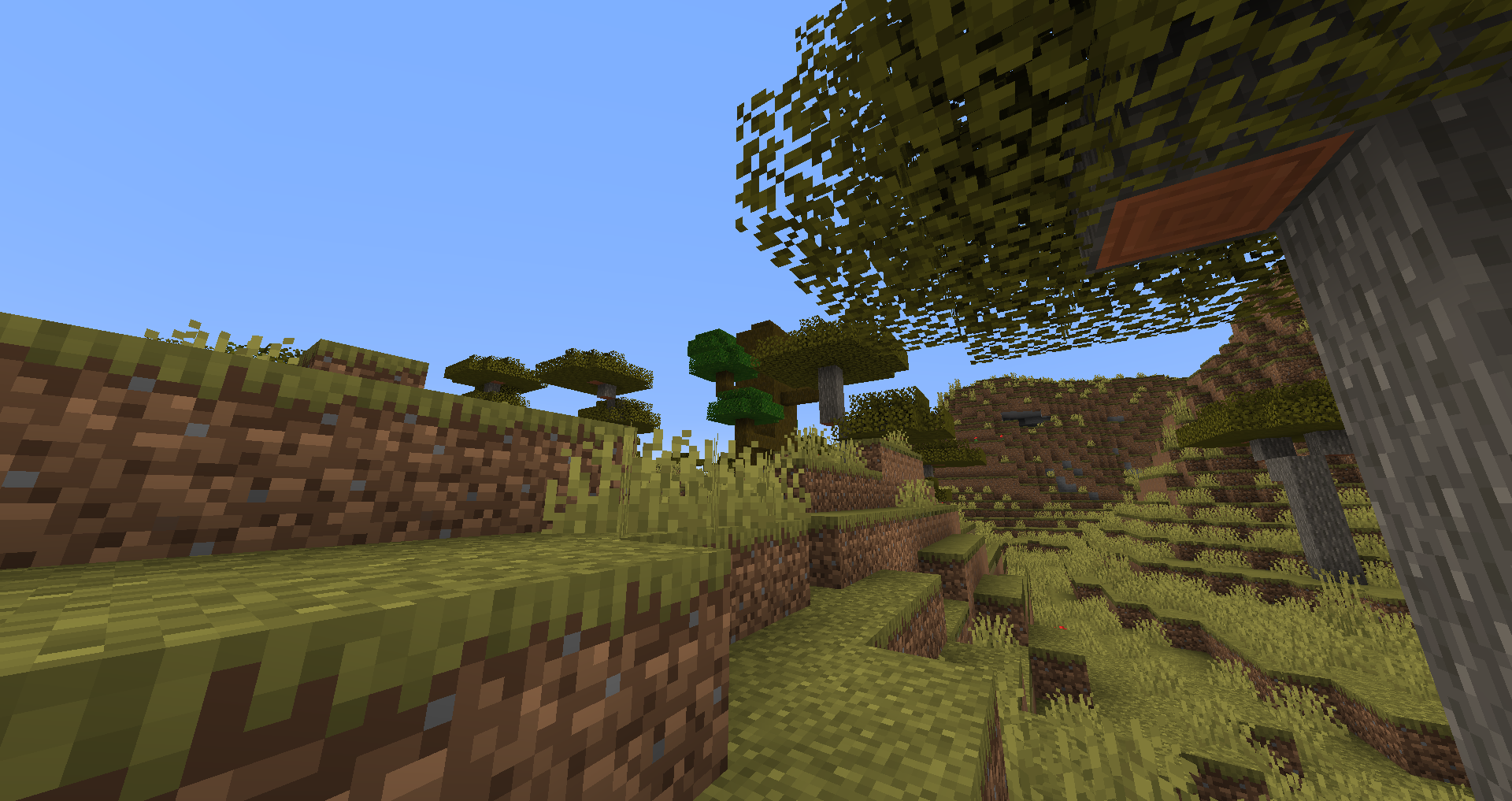 BIOME UPDATE for Minecraft 1.16.3