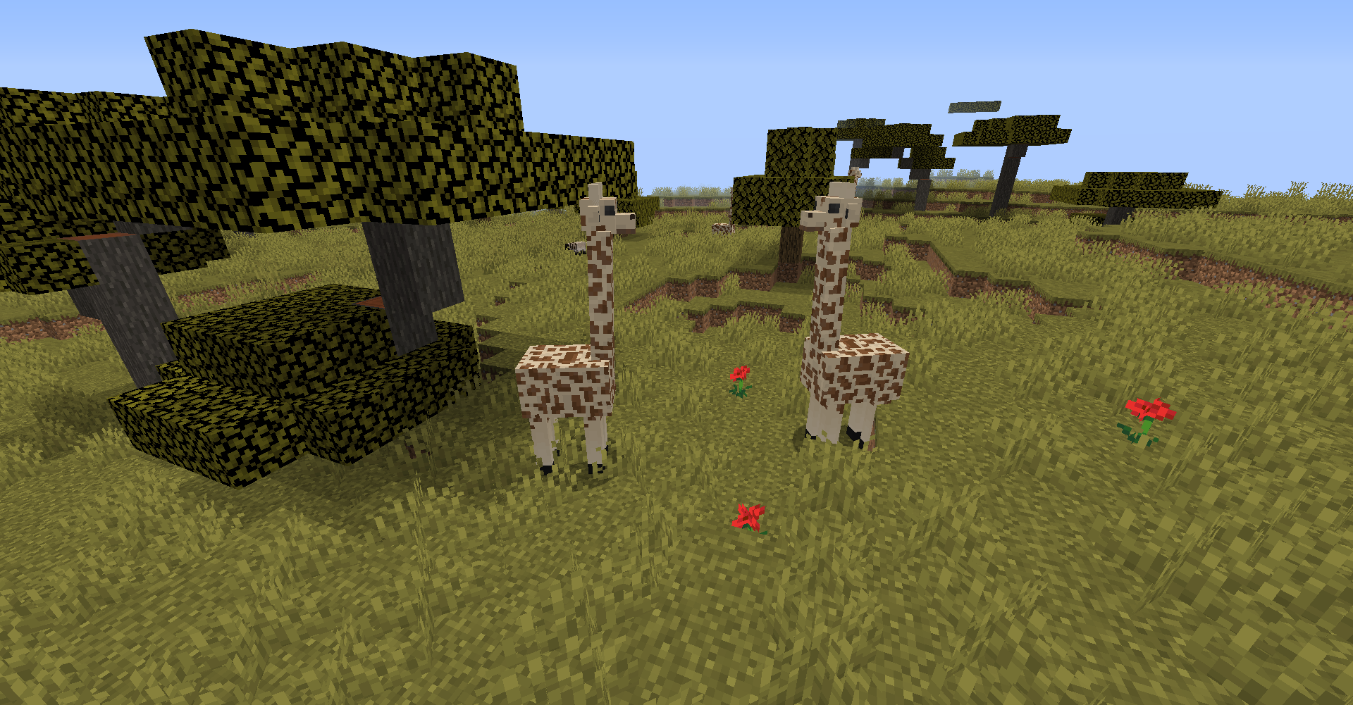 Animals Plus screenshot 1