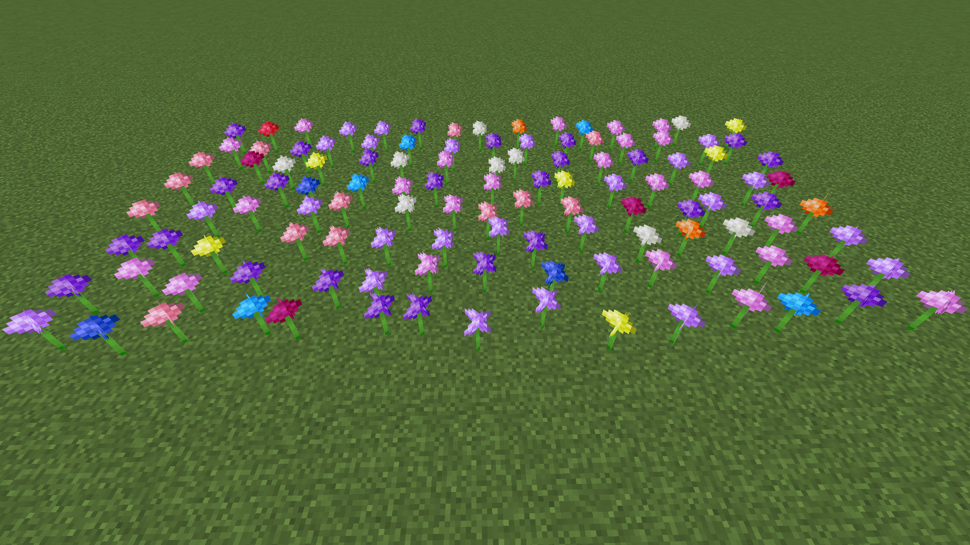 Colourful Alliums screenshot 2