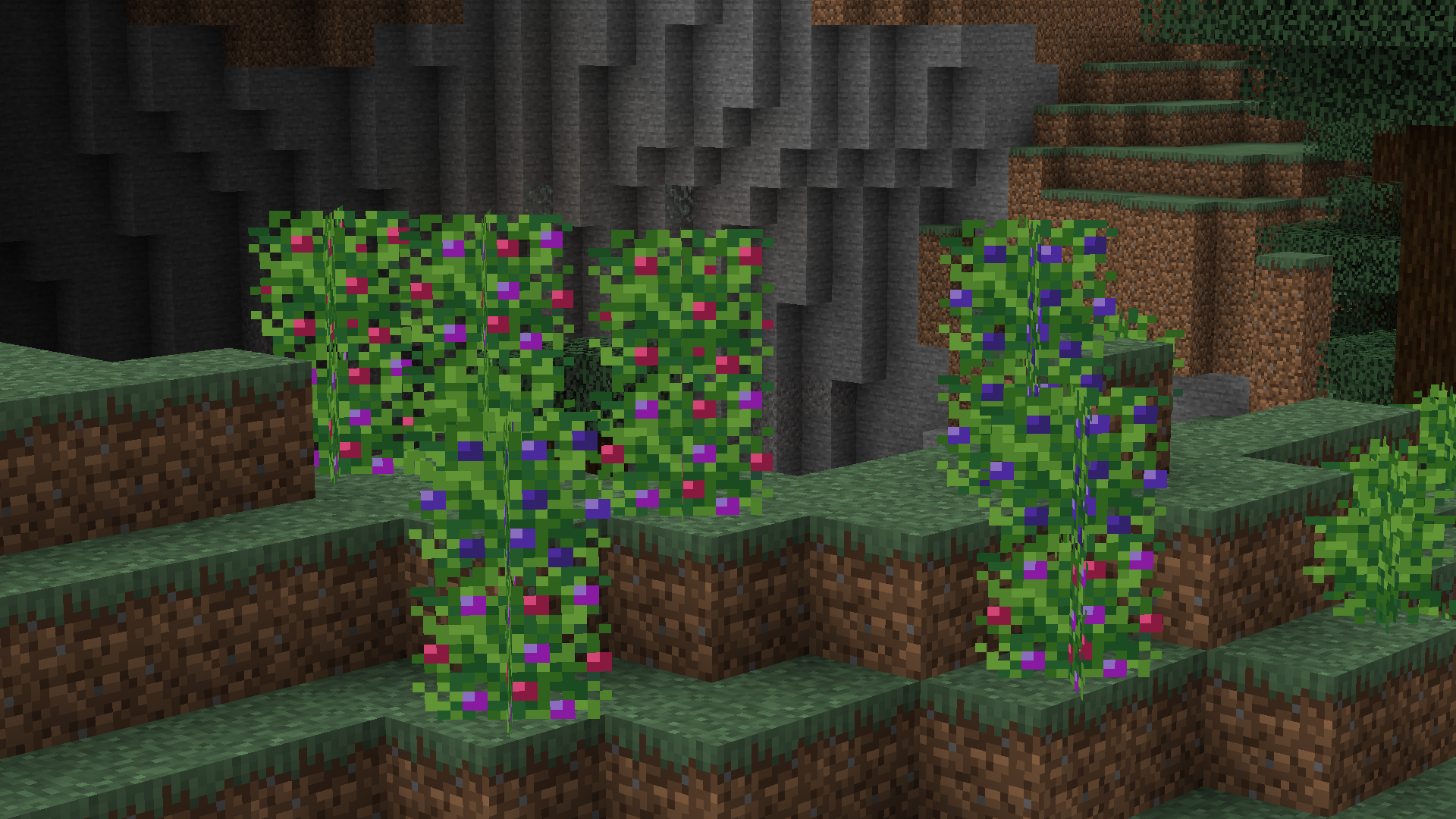 bodacious berries screenshot 2