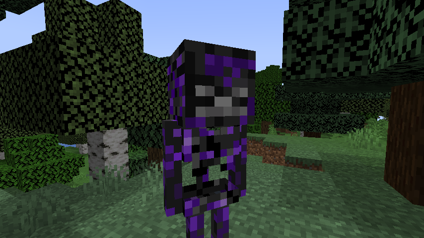 Nether Skeletons screenshot 3