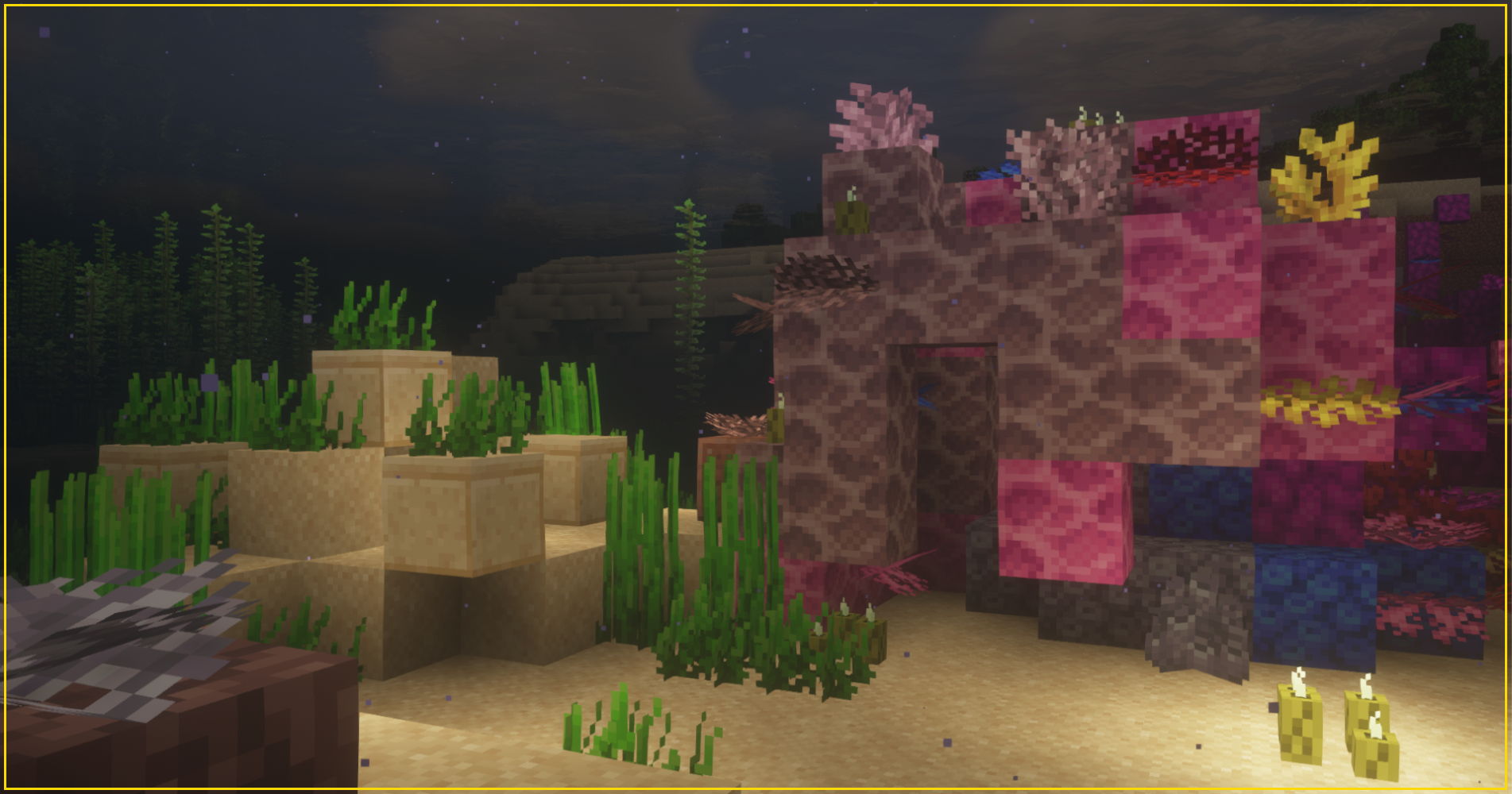 Colorful Coral screenshot 3