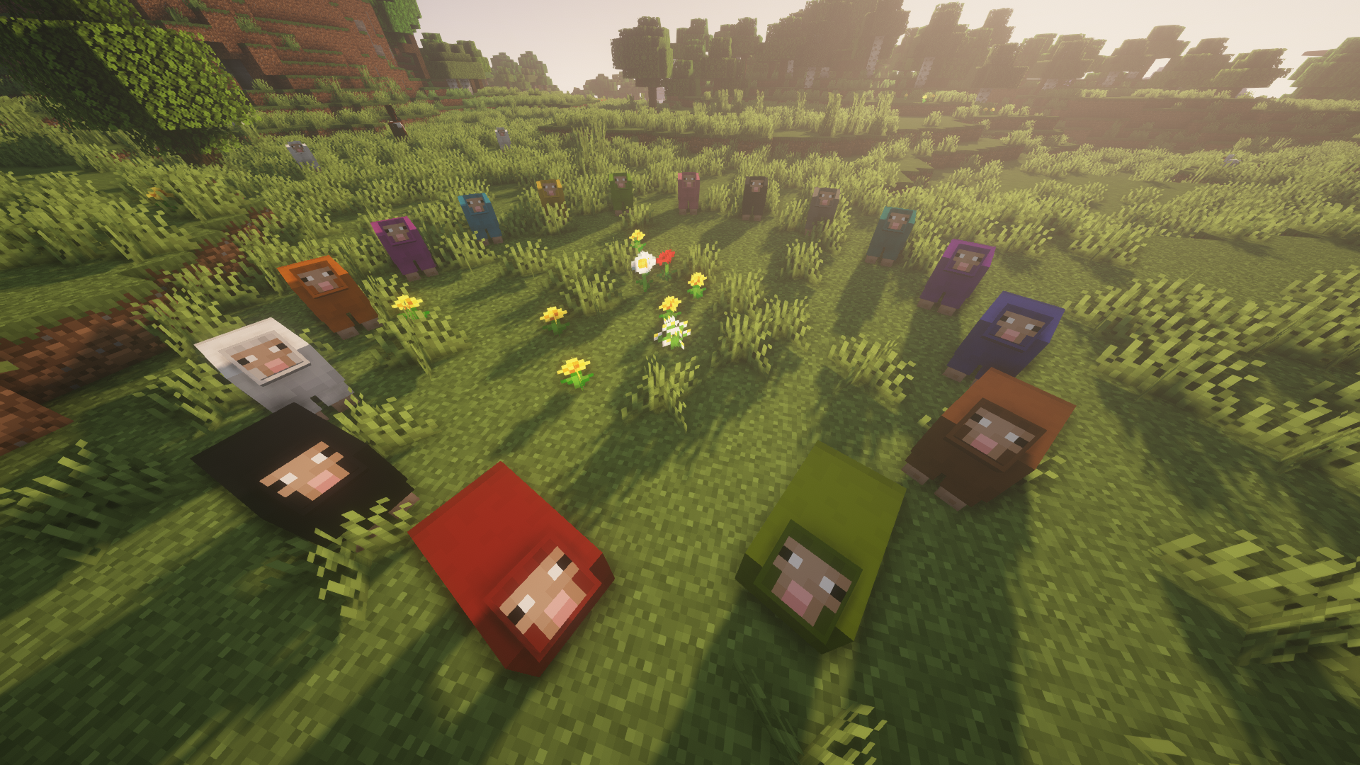 Colorful Sheared Sheep screenshot 1