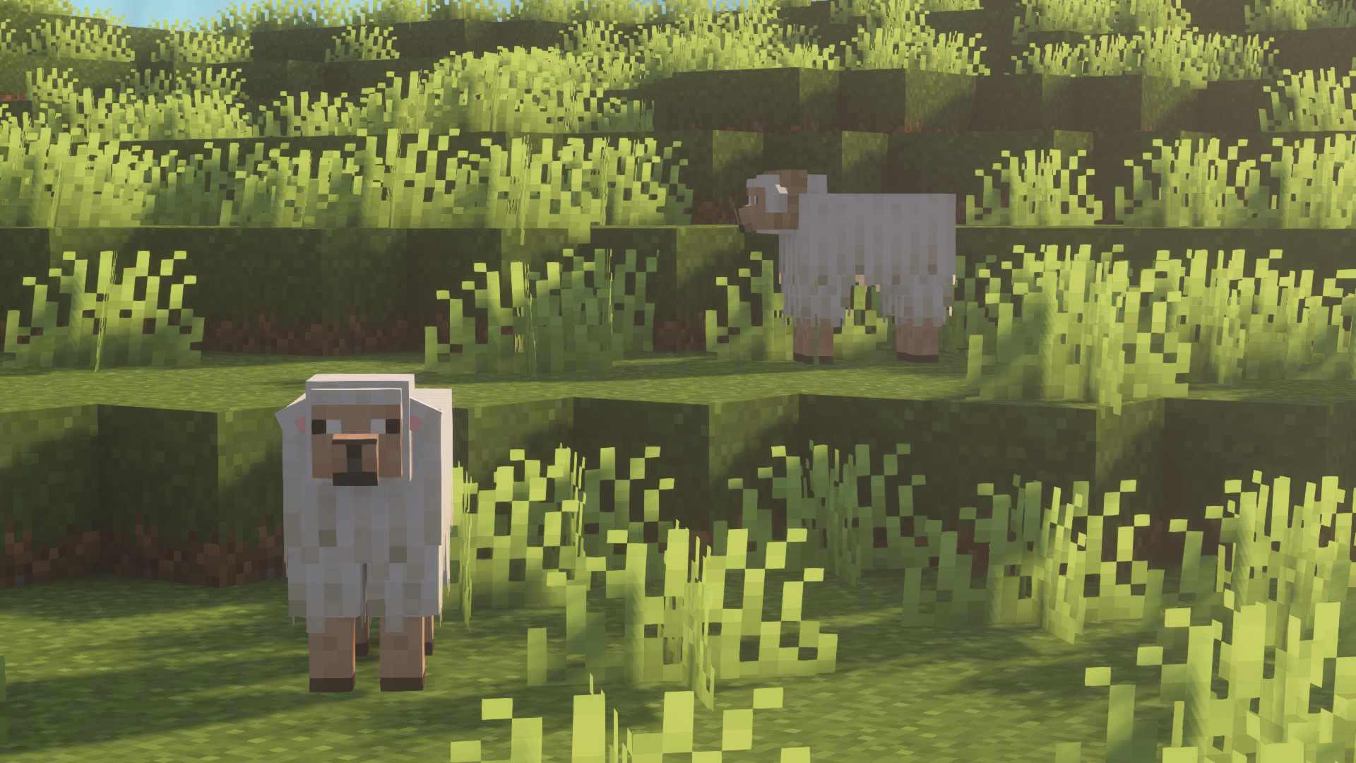 Remodeled Sheep screenshot 2