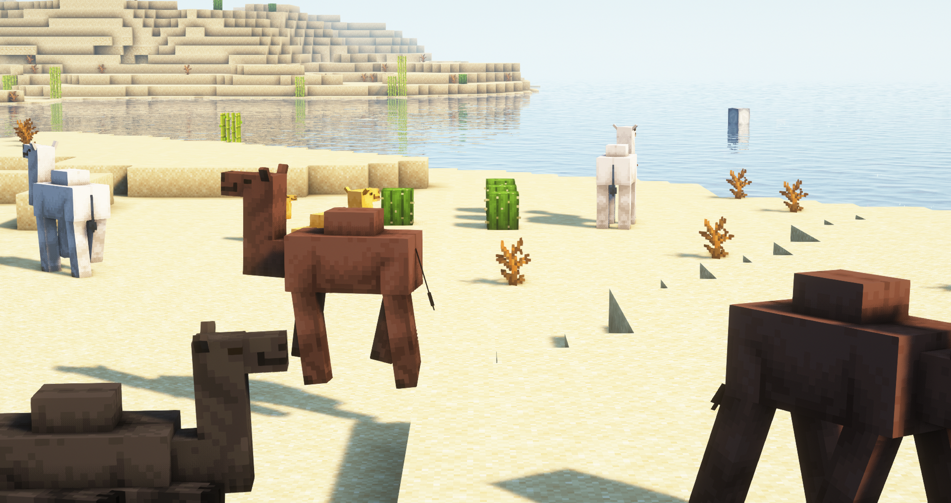 Wilder Animals screenshot 1