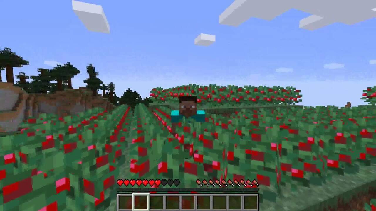 Sneak Through Berries screenshot 2