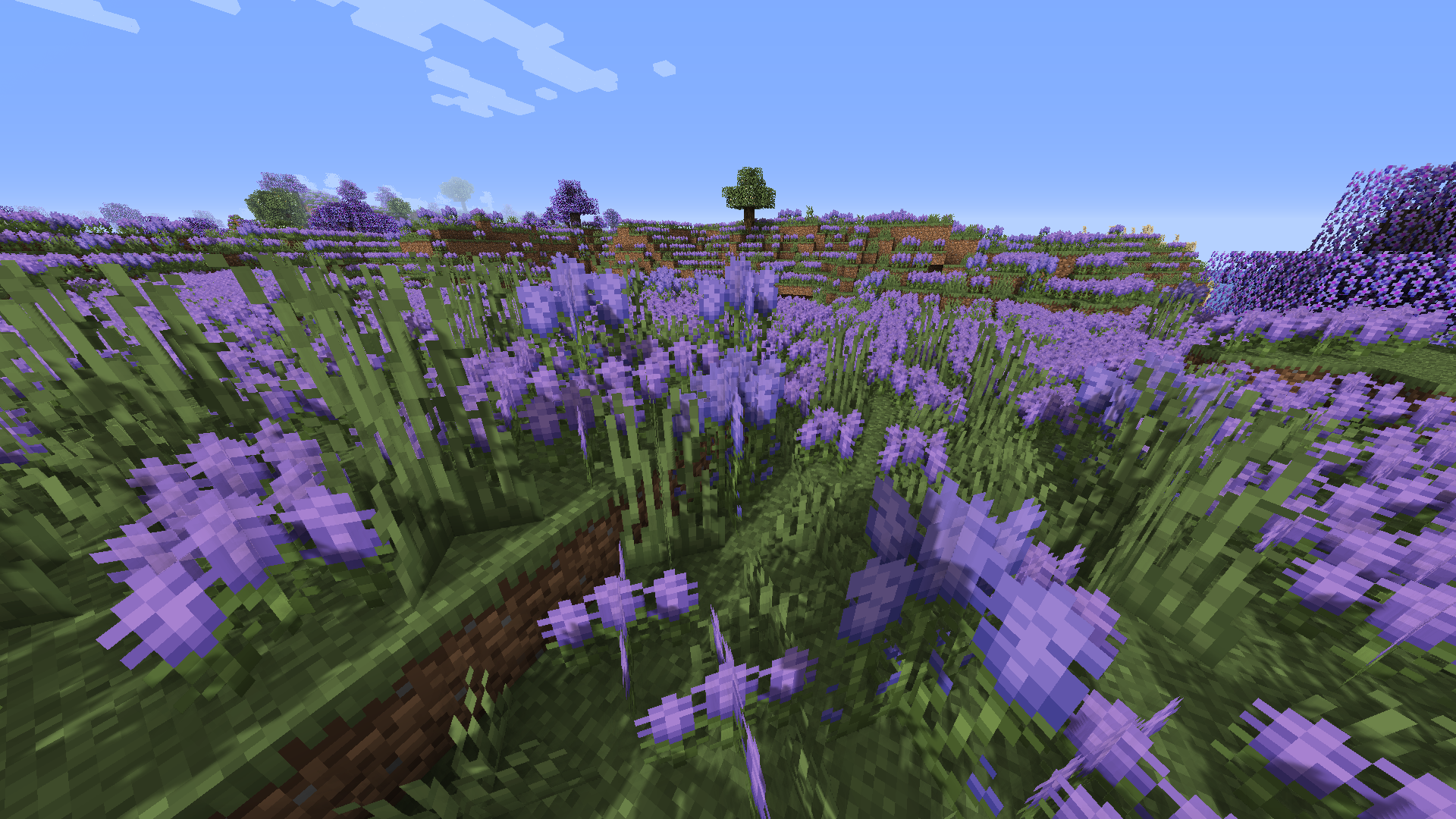 Biomes o plenty 1.19 2