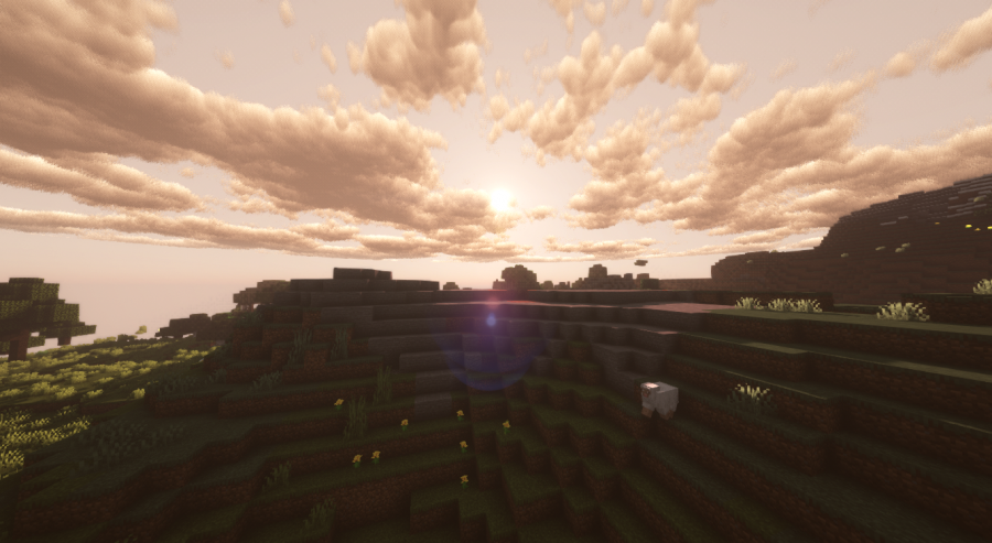 Sunflawer screenshot 2