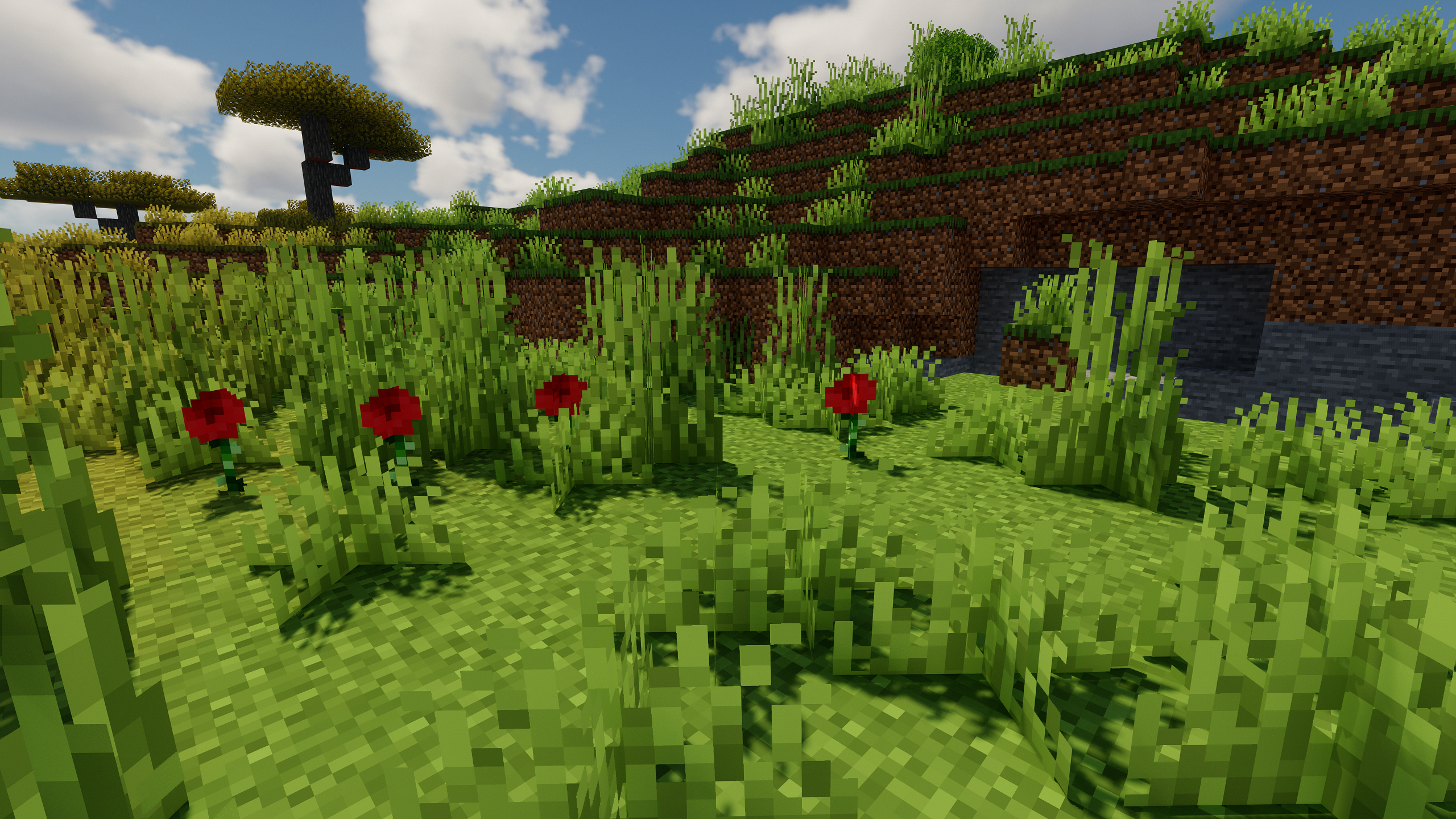 Roses screenshot 3