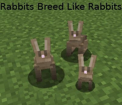 Rabbits Breed Like Rabbits скриншот 1