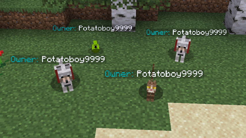 Pet Owner  screenshot 2