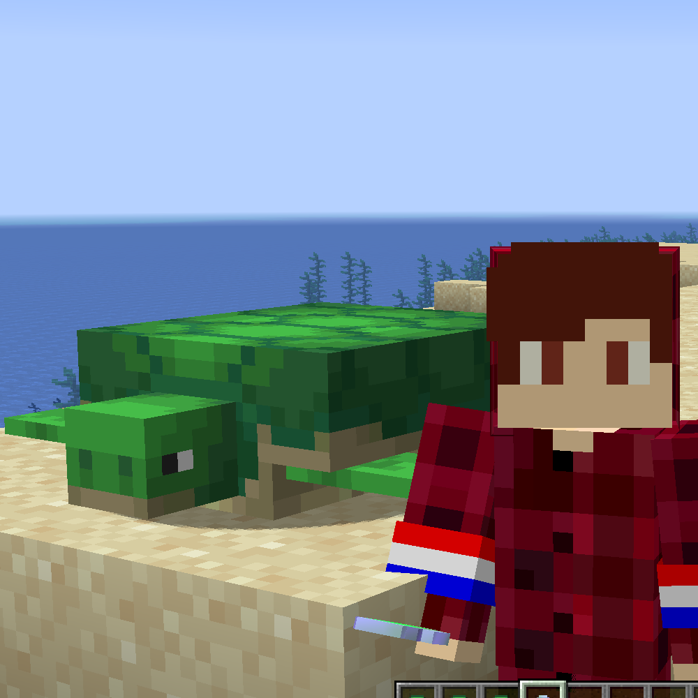 Better Turtle Shells screenshot 1