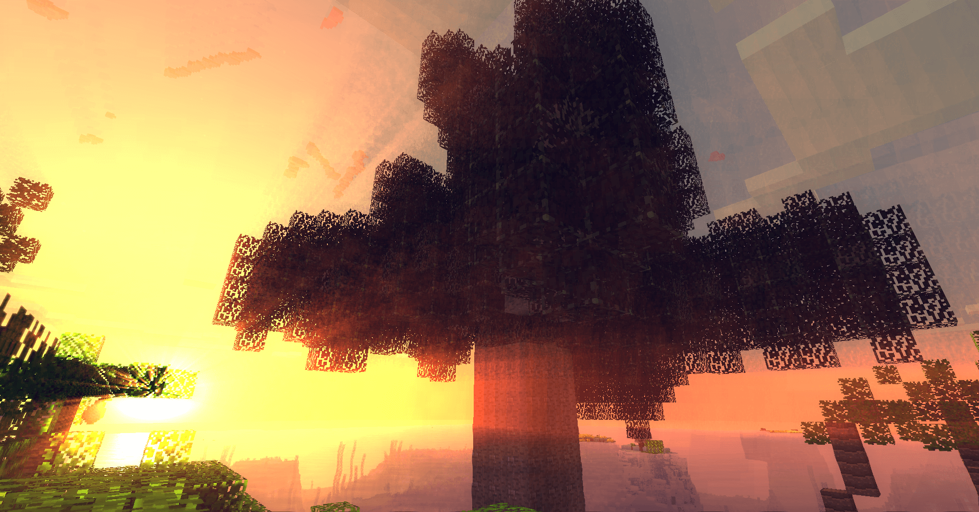Ancient Trees скриншот 3