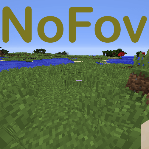NoFov скриншот 1