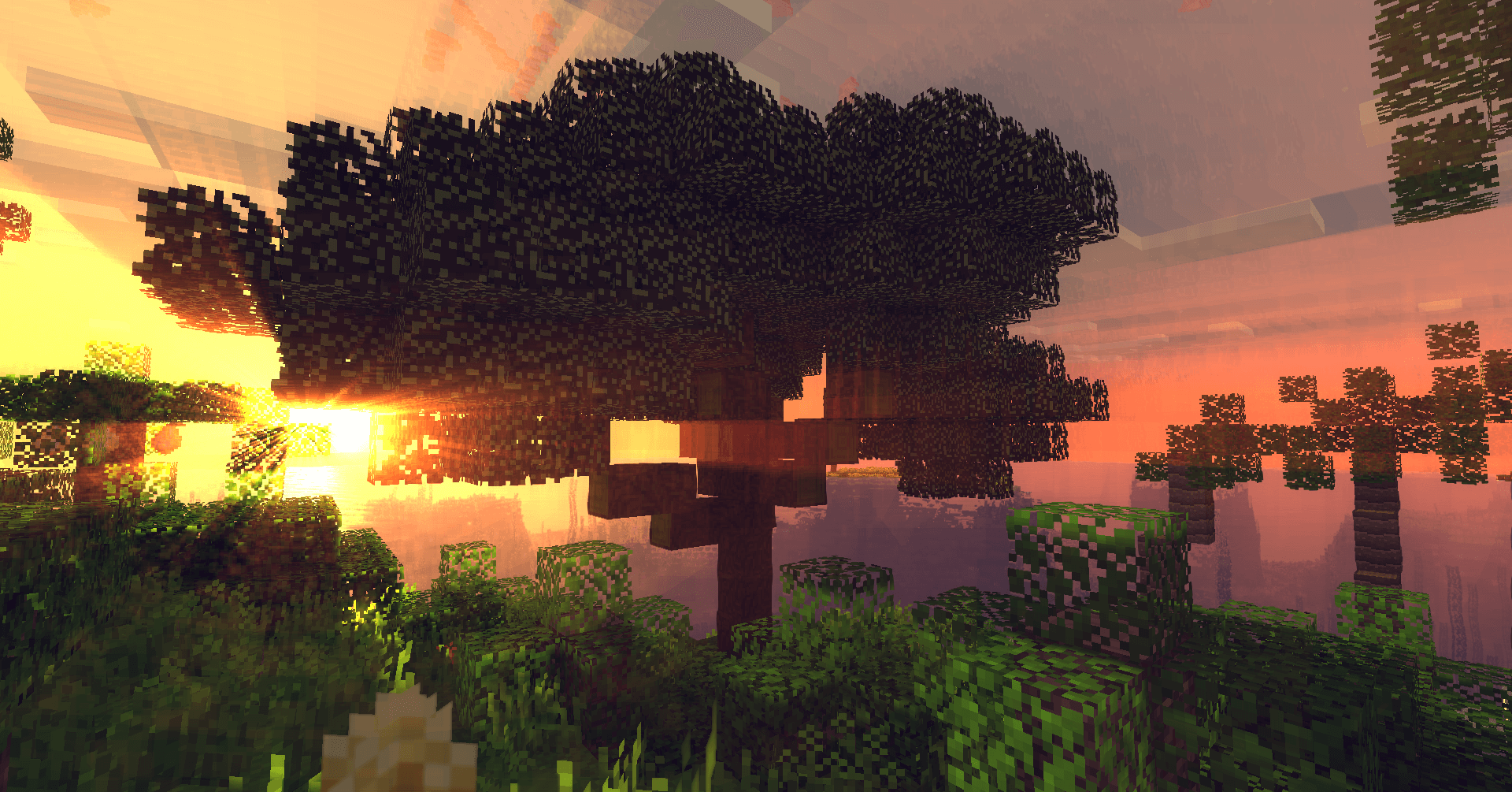 Ancient Trees скриншот 2