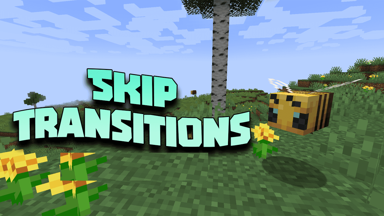 Skip Transitions for Minecraft 1.21.10