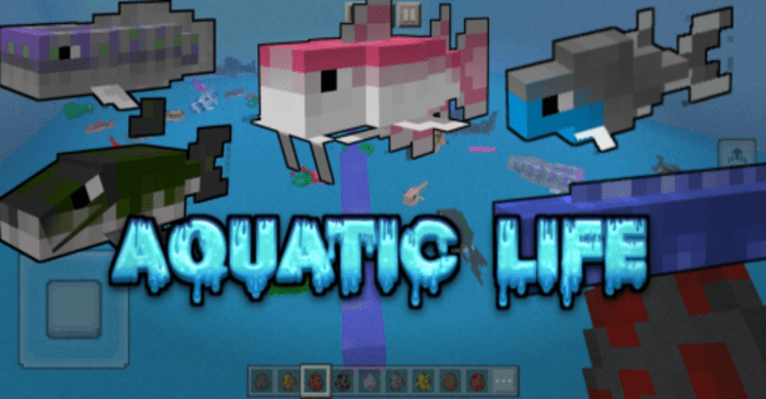 Aquatic Life screenshot 1