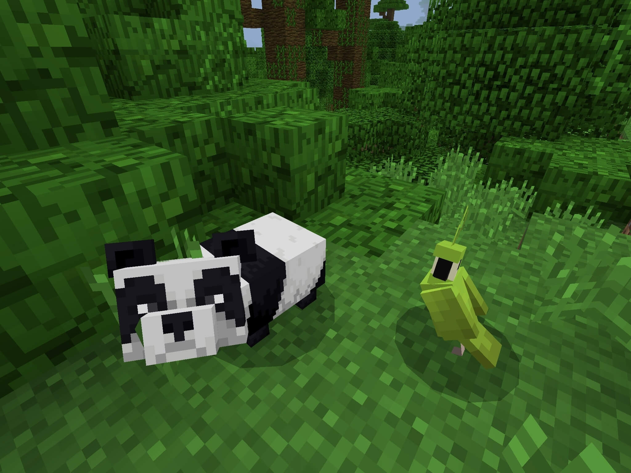 Minecraft Panda Seeds for Bedrock Edition