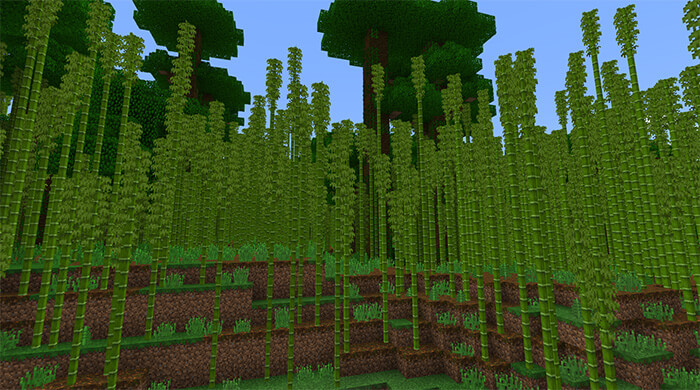 2069597813 Бамбуковый лес скриншот 1