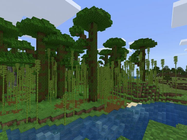 1535518514  Бамбуковый лес скриншот 1