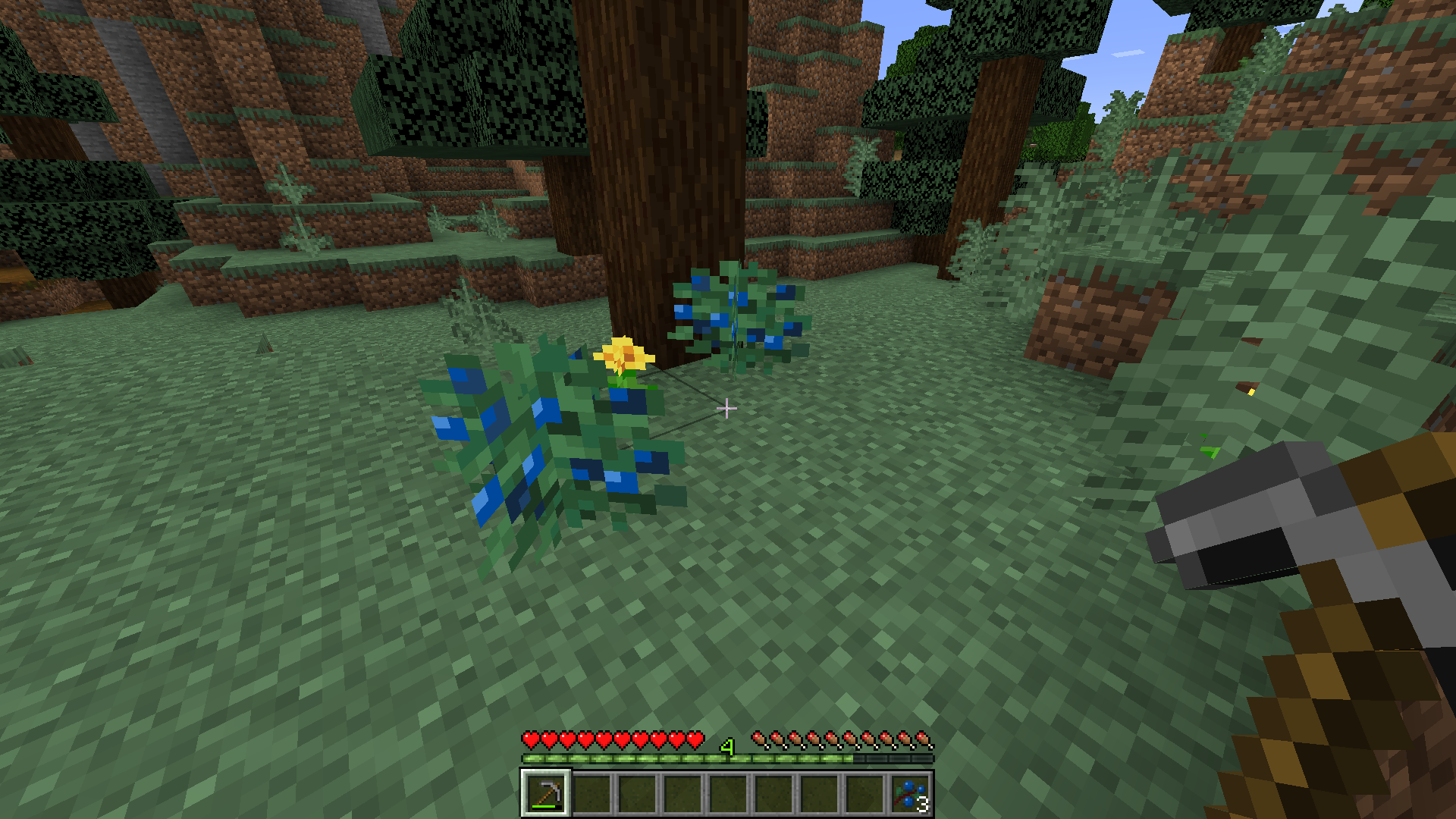 BlueBerry screenshot 2