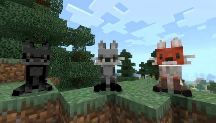 Beautiful Foxes screenshot 1