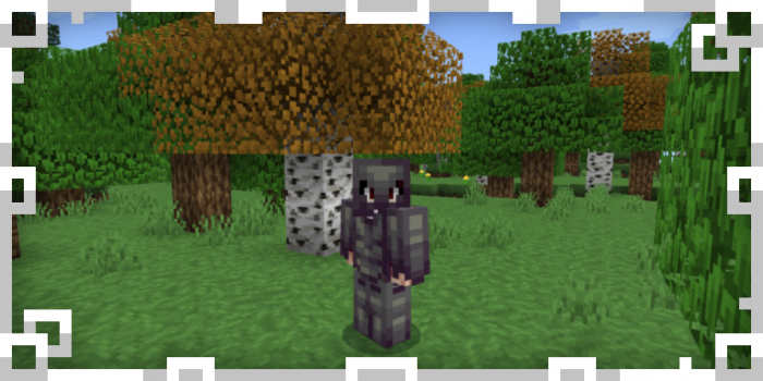 Bedrock Plus for Minecraft Pocket Edition 1.16